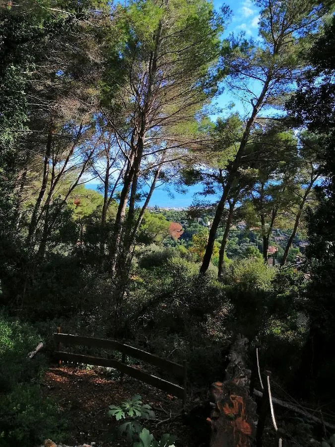 Cabane Azur Mountain Vallauris